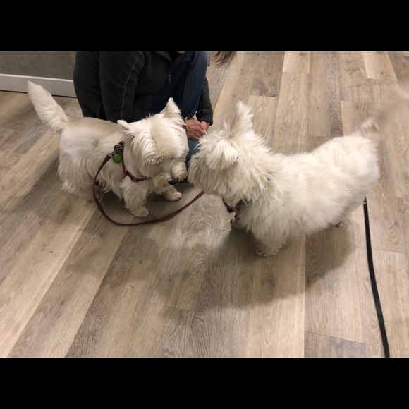 Louie Vuitton clutch - Picture 3 of 8